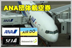 ANAおよびエアドゥ・スターフライヤー・ソラシドエアの団体航空券のイメージ